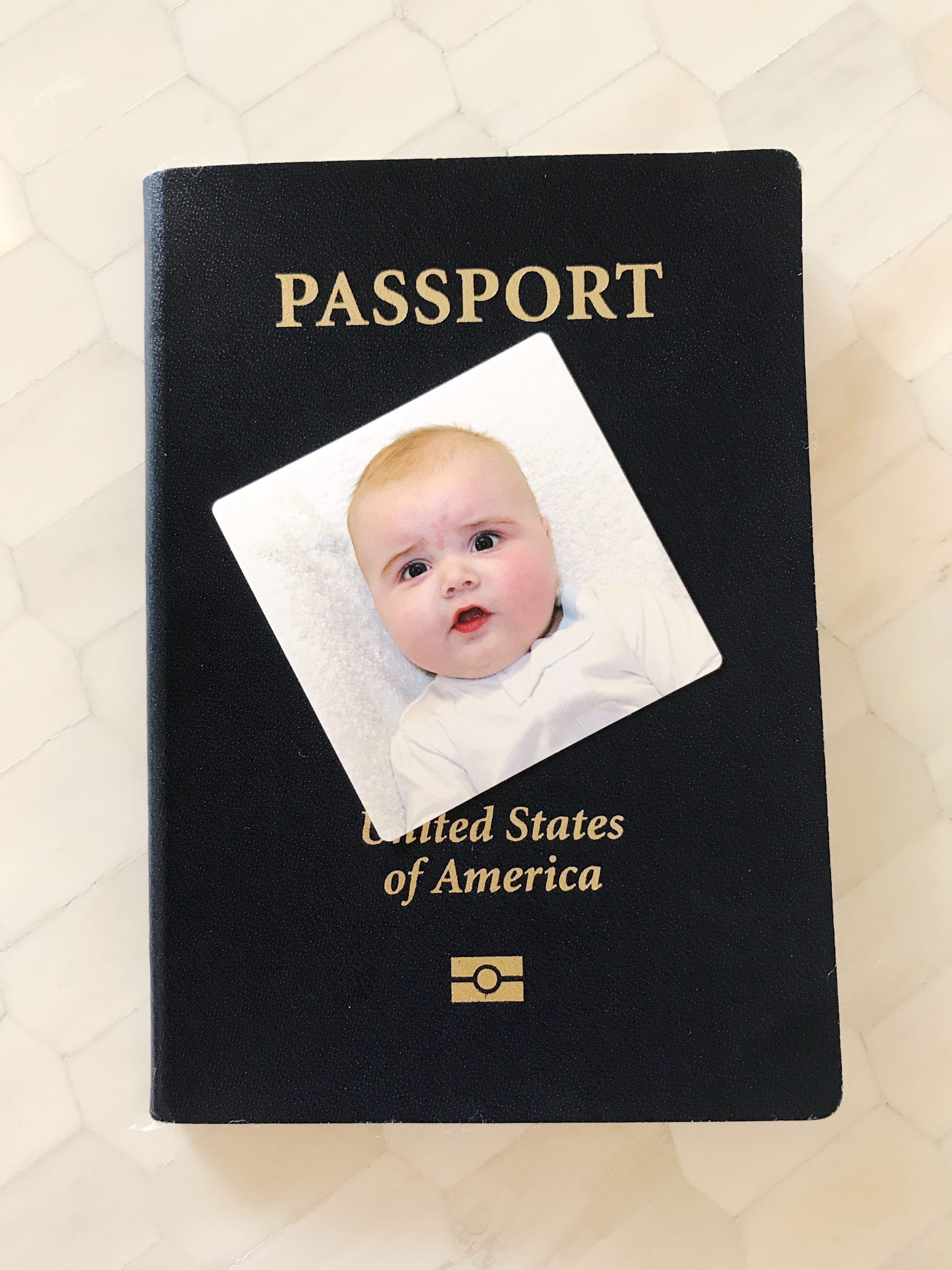 Passport to Texas » Blog Archive » Oops! Baby Bird Out of the Nest